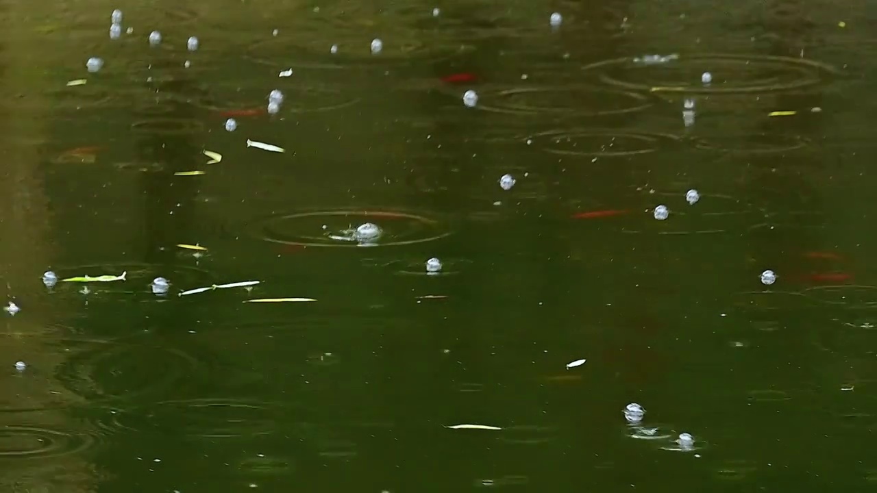 夏季的小雨雨滴落在水面上视频素材