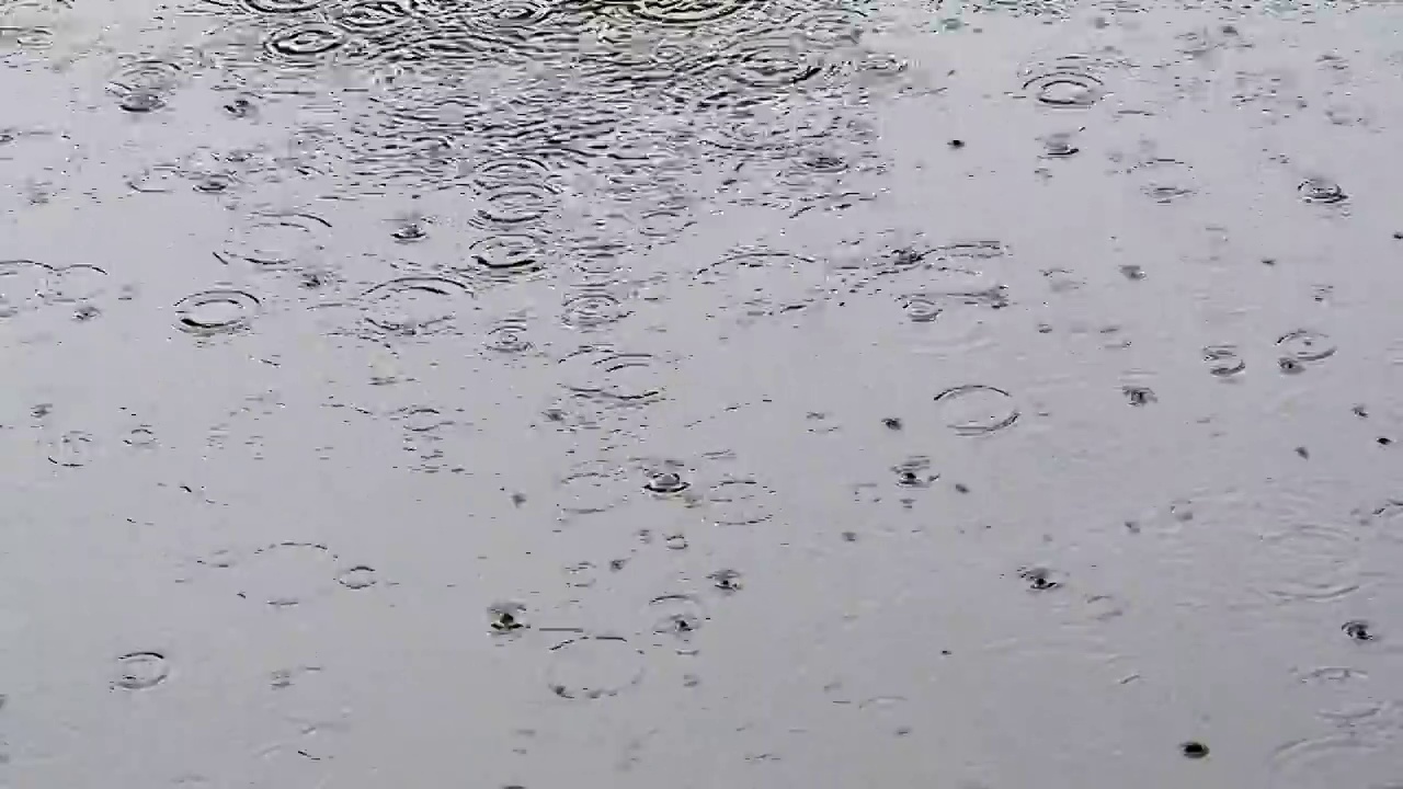 夏季的小雨雨滴落在水面上视频素材