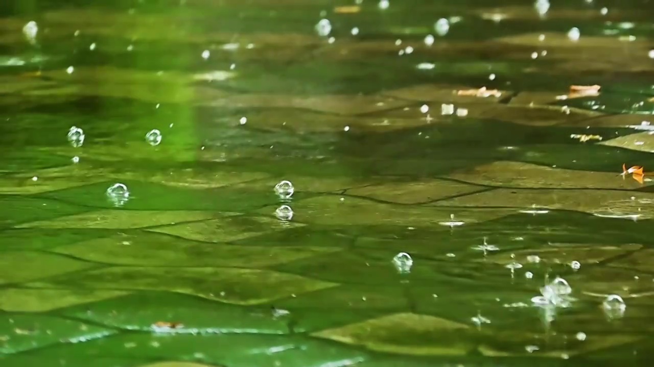 雨水滴落在水面上溅起的水花圆圈水泡视频素材