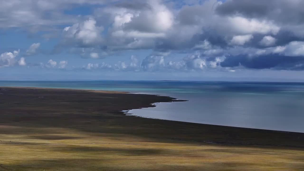 青海湖草原风光视频素材