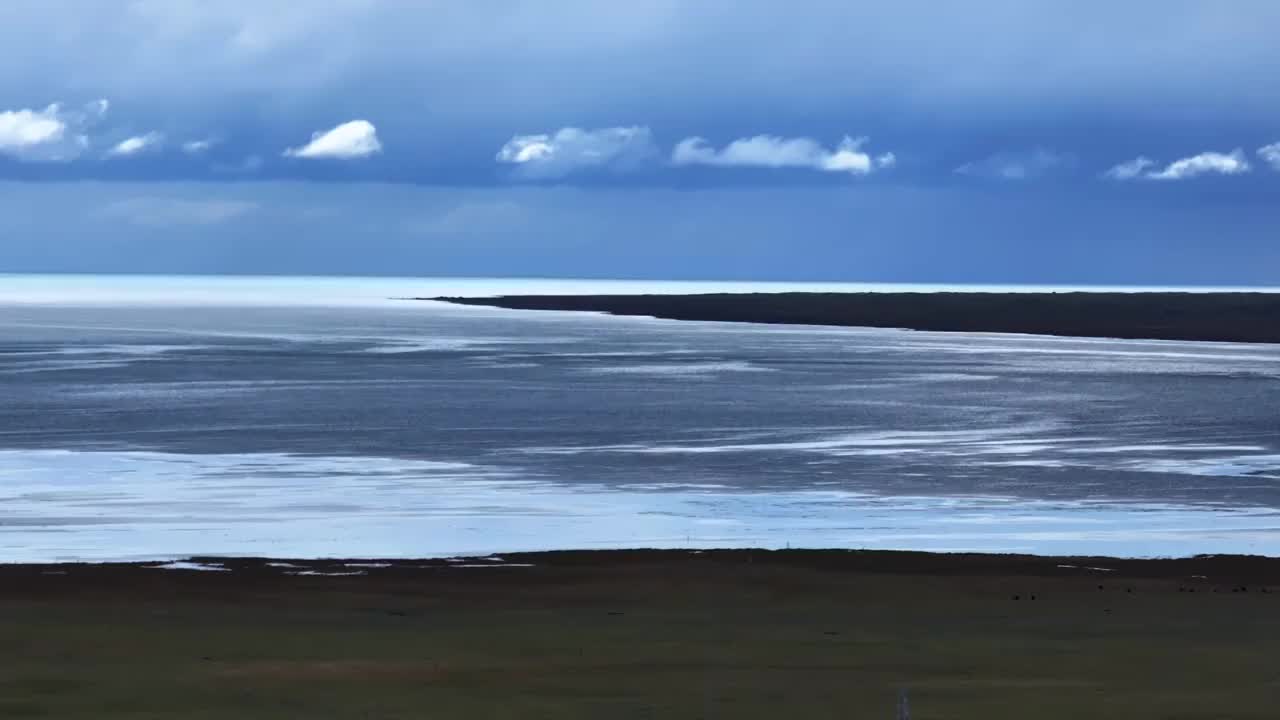 青海湖草原风光视频素材