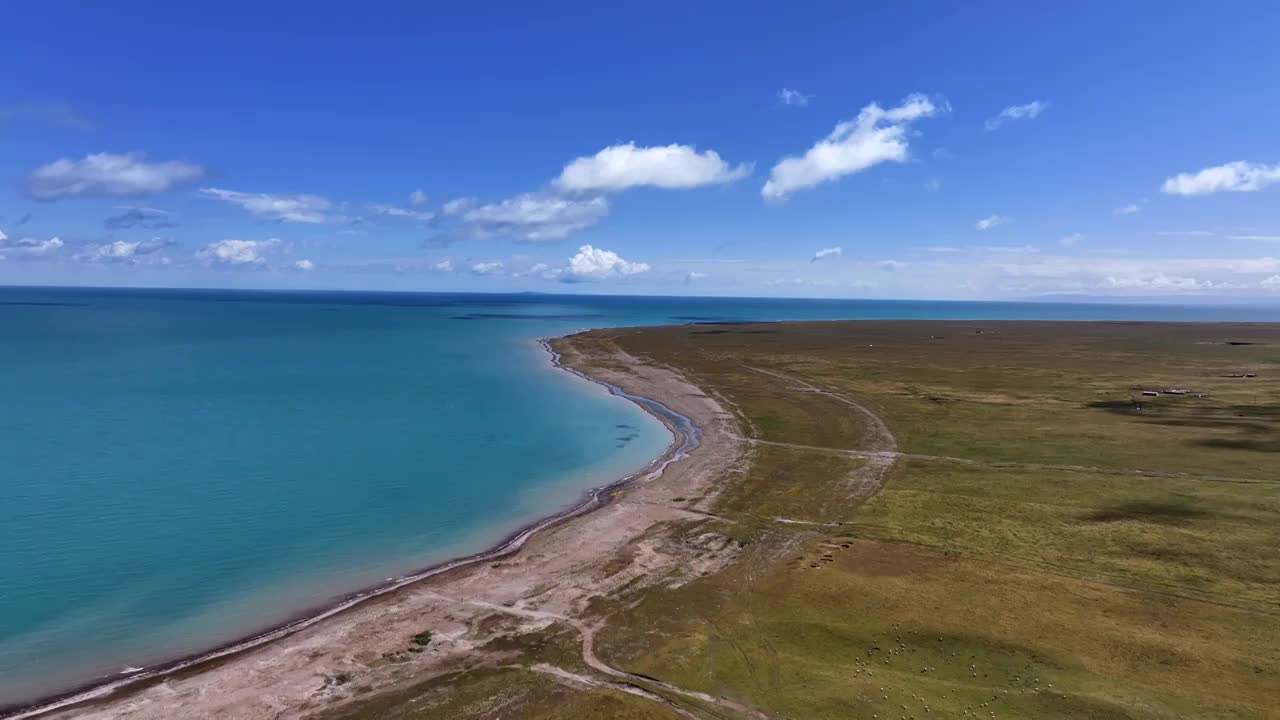 青海湖海岸线视频素材