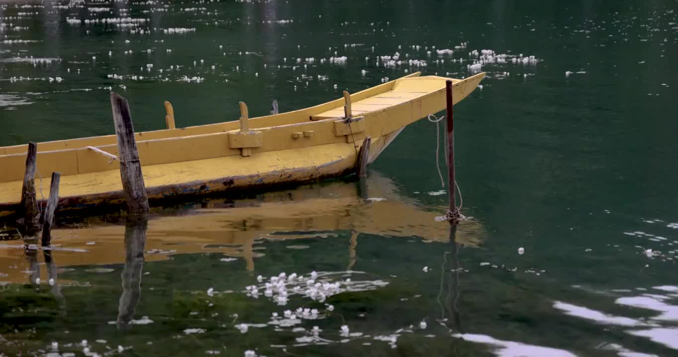 丽江旅游景区：泸沽湖中废弃的木船视频素材