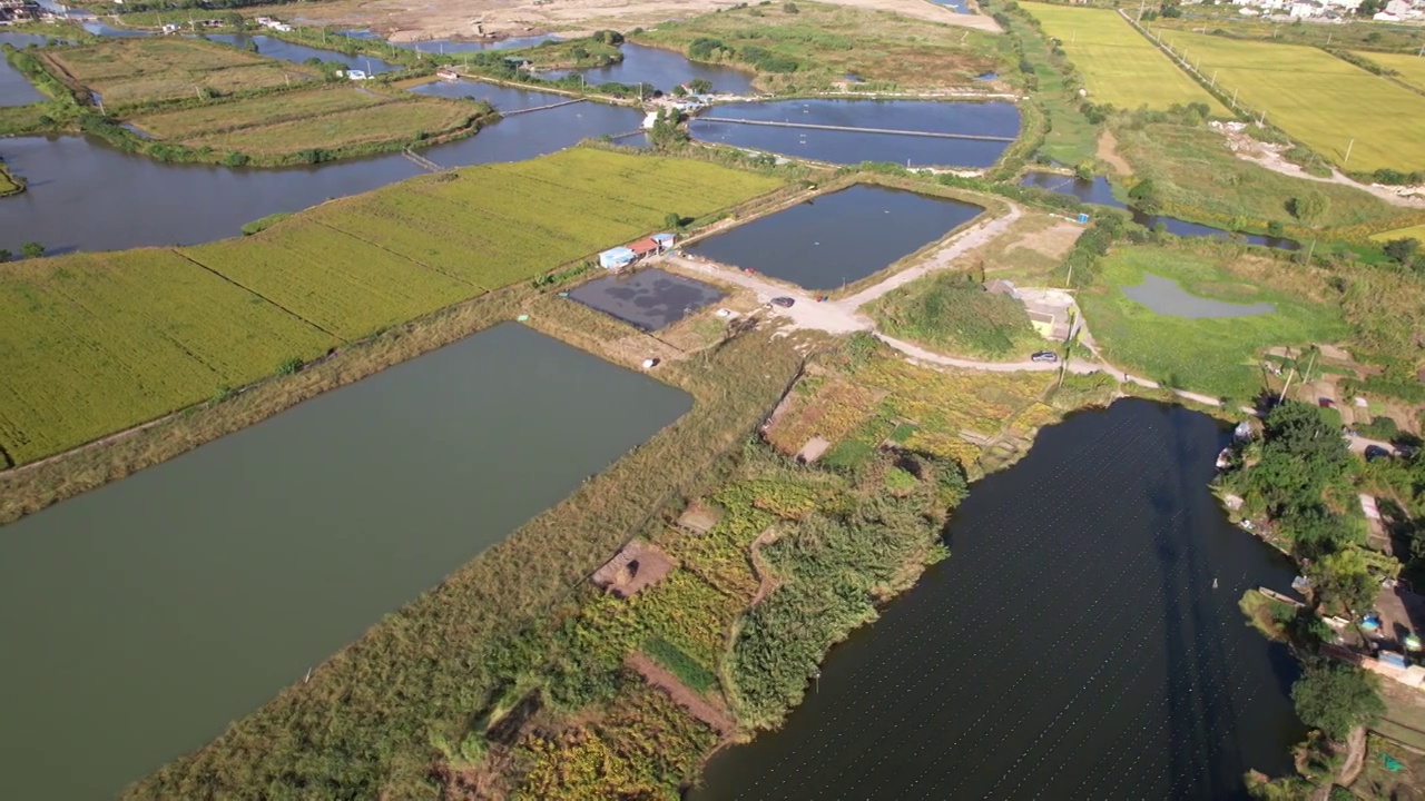 4K航拍河蚌珍珠养殖基地视频下载