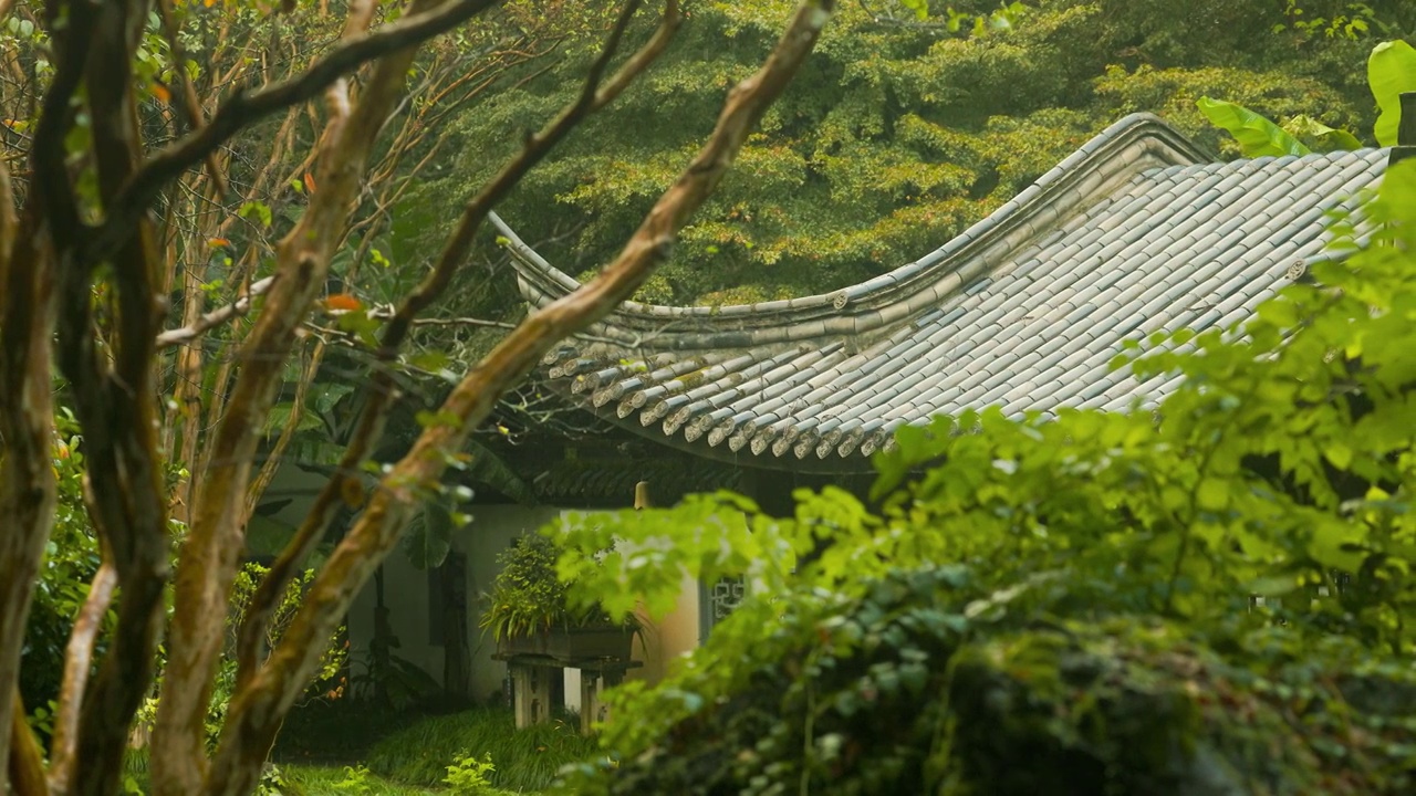 江南园林景观结构雨中的韵味美感7视频素材