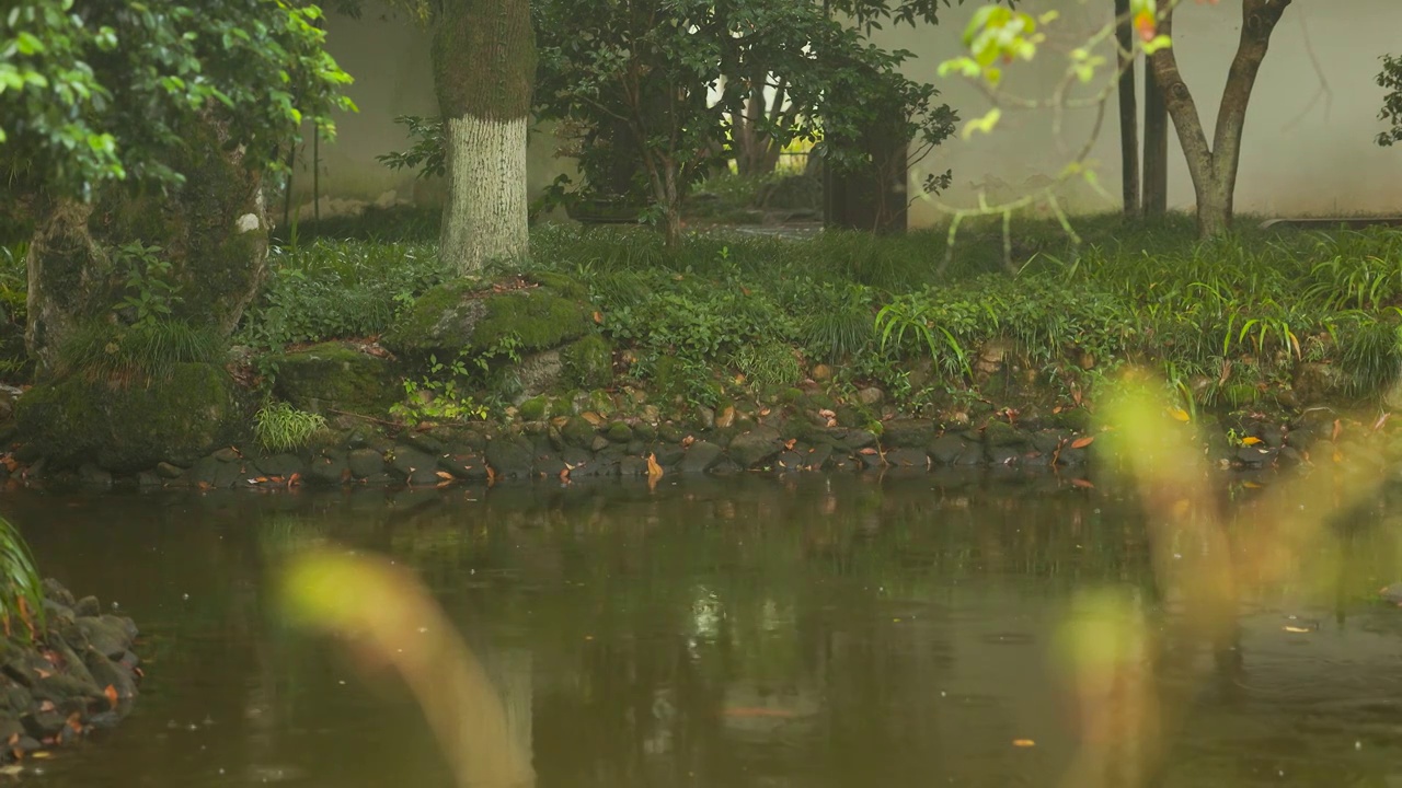 下雨天雨水滴落在园林池塘中视频素材