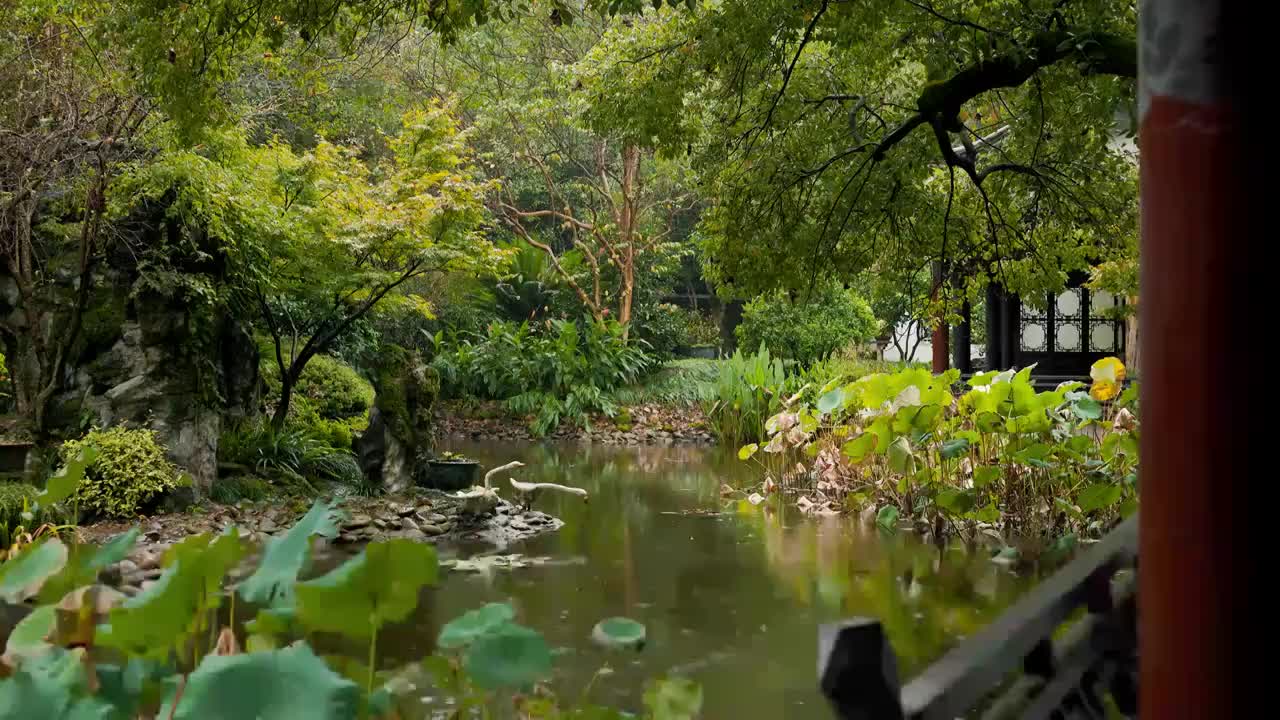 江南园林景观结构雨中的韵味美感2视频素材