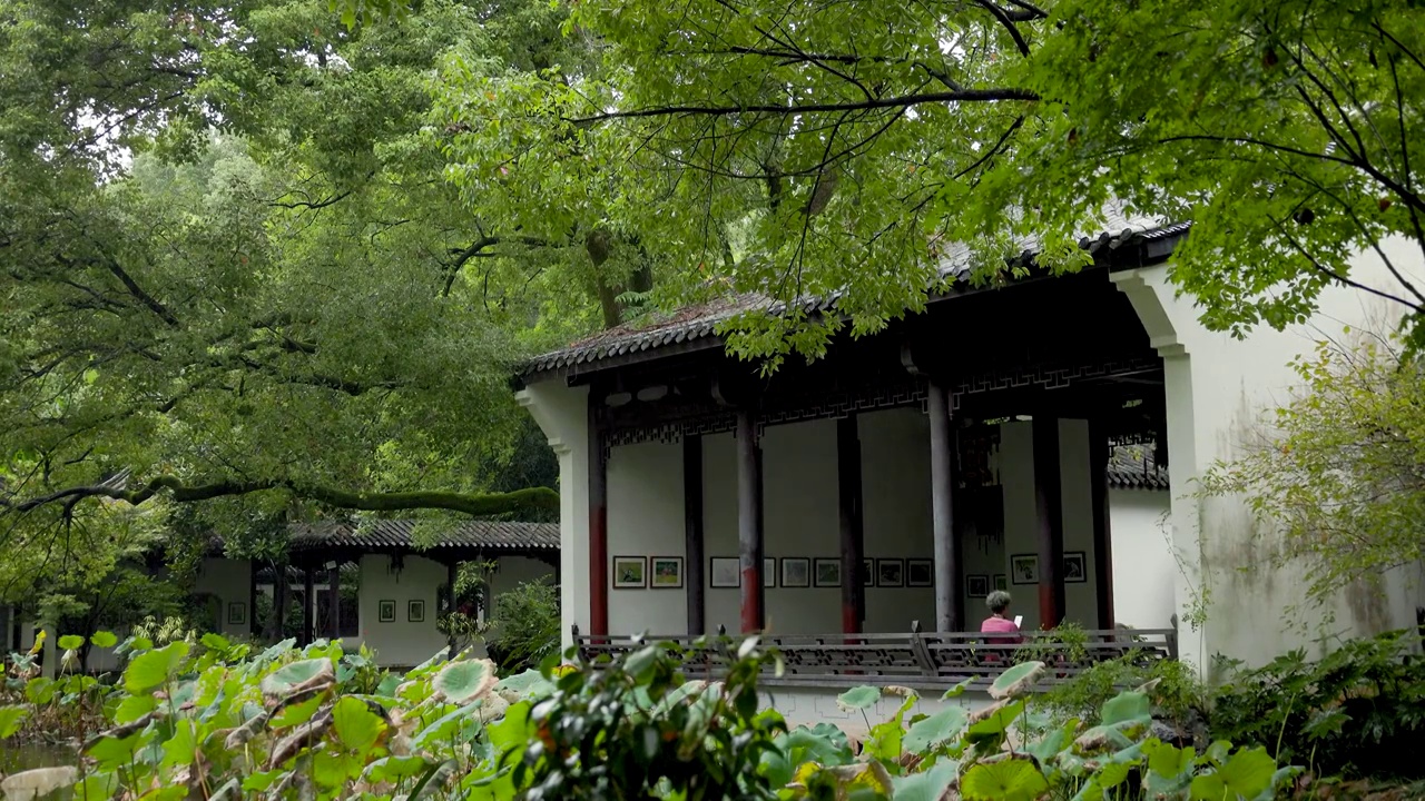 雨中的江南园林建筑美感视频素材