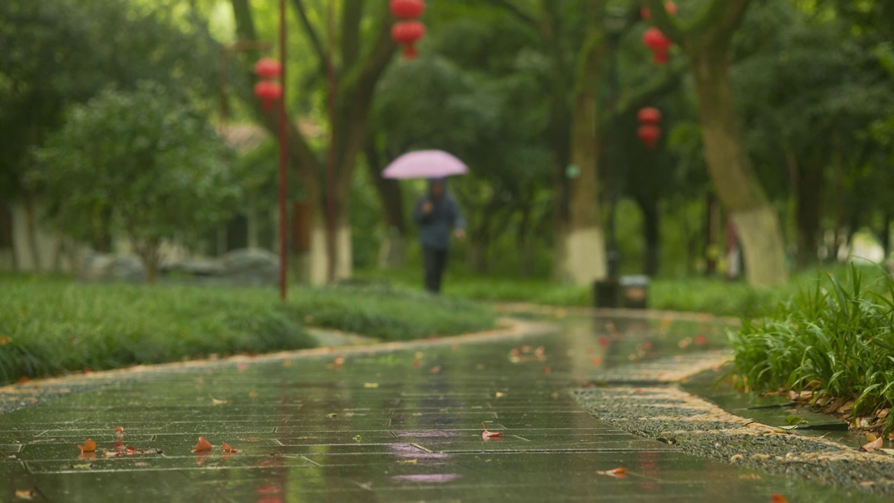 雨天公园树林间，积水的道路上撑伞的路人经过视频素材