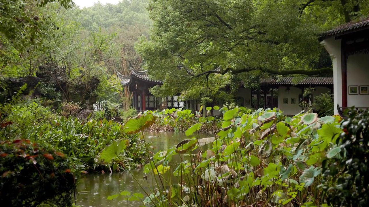 下雨天江南园林建筑氛围感1视频素材