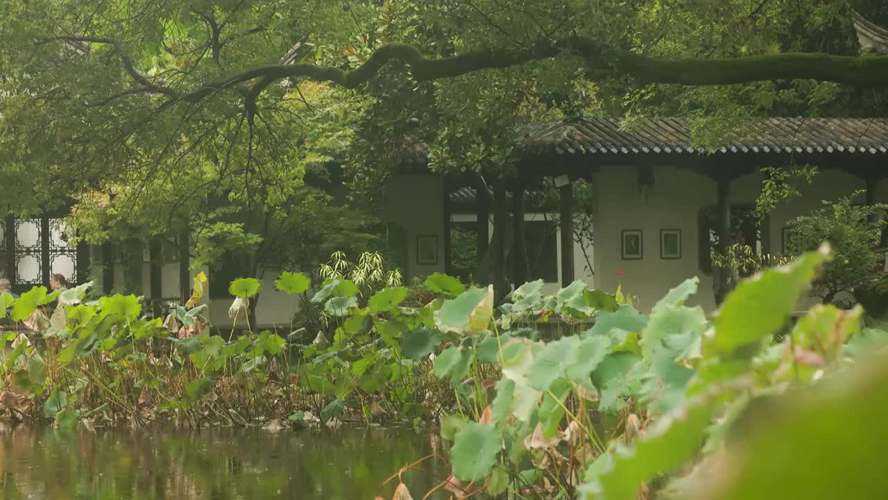 江南园林景观结构雨中的韵味美感4视频素材