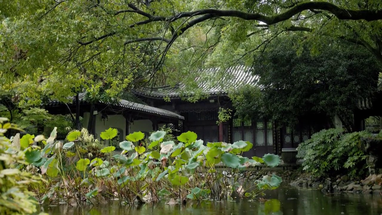 下雨天江南的园林建筑美感视频素材