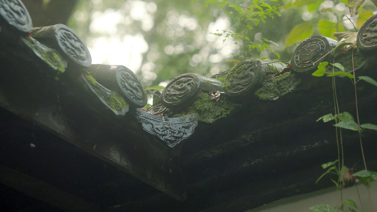 下雨的江南园林雨水顺着瓦片滴水滑落下来视频素材