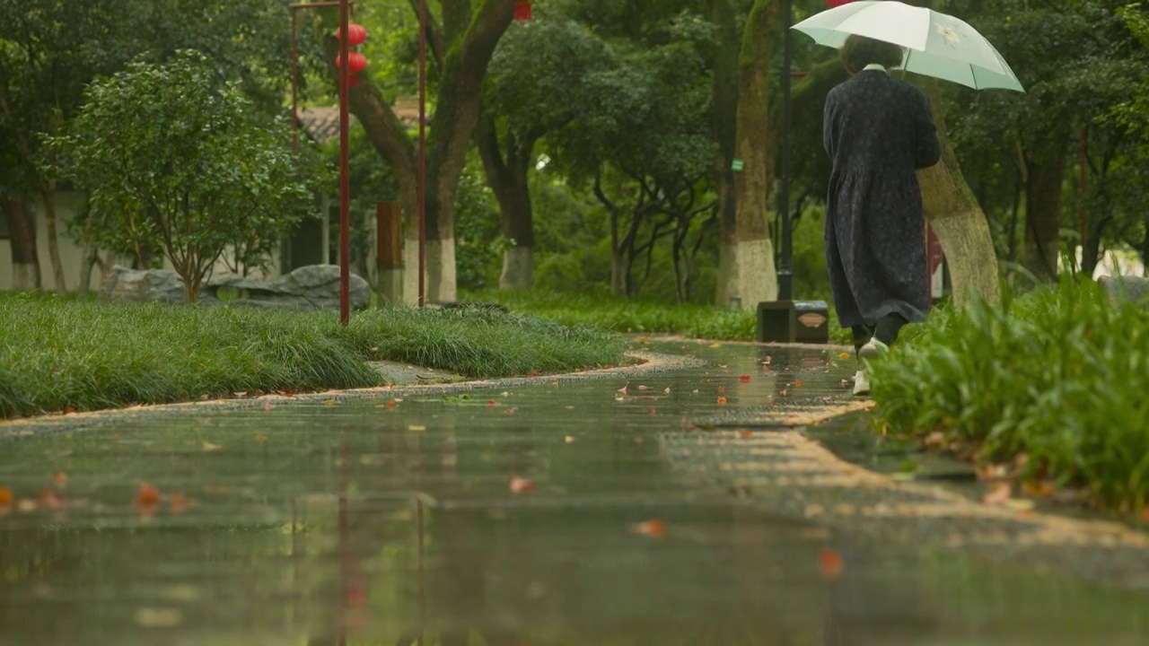 入秋后的雨天公园树林间的道路上行人经过视频素材