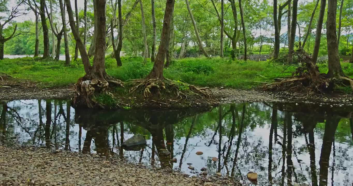 安徽省黄山市西溪南古镇的自然森林和河流风光视频素材