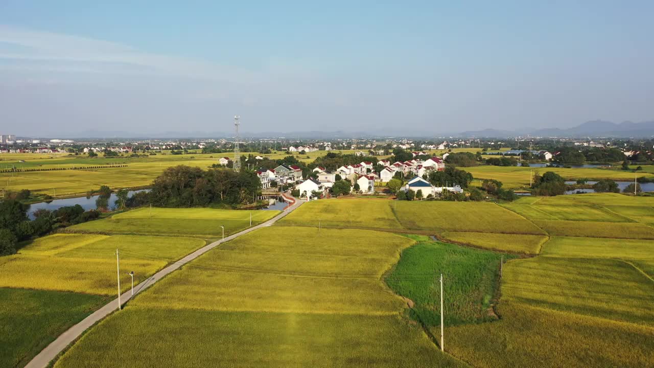 田园风光视频素材