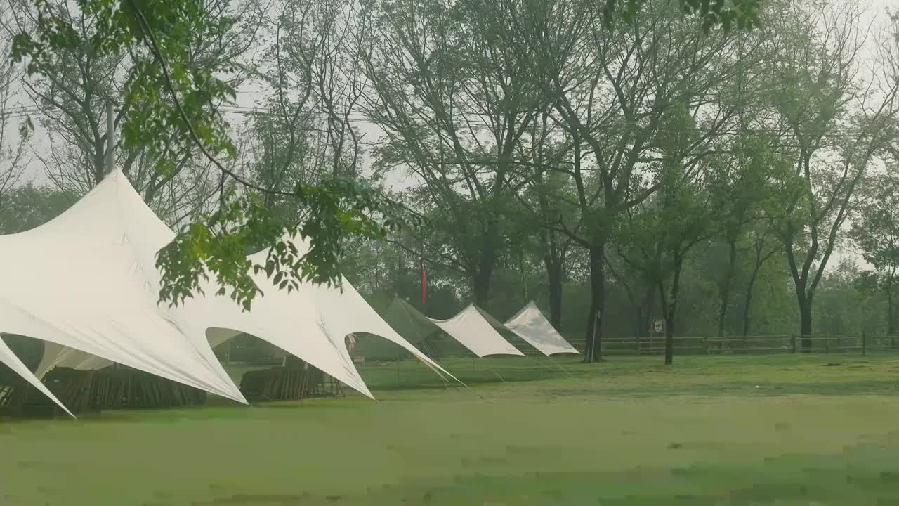 树林间大片草坪上的露营帐篷视频素材