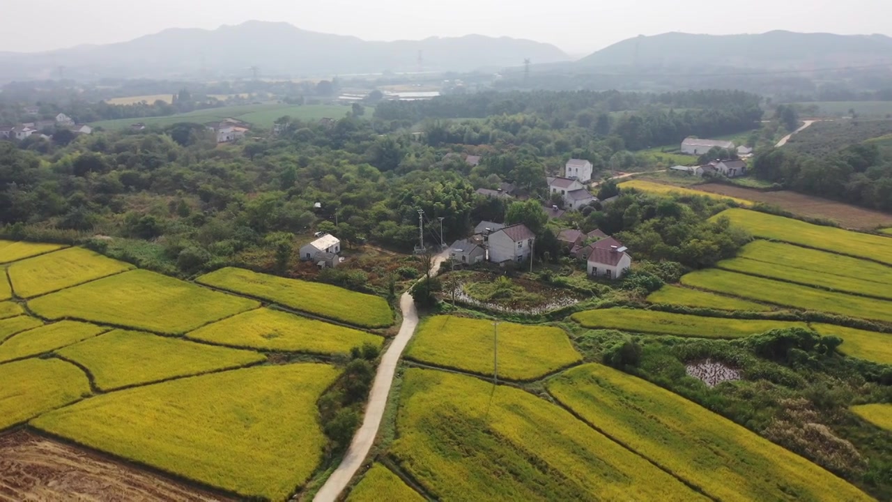 田园风光视频素材