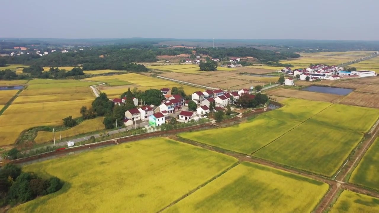 田园风光视频素材