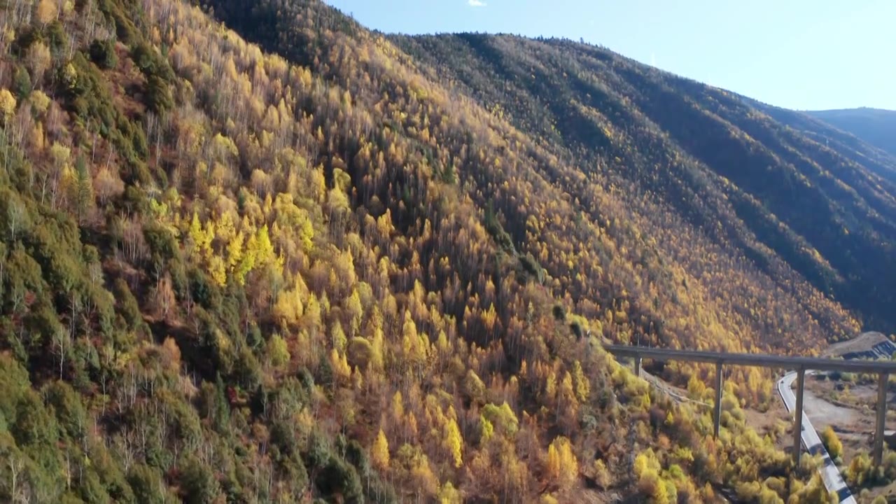 川西秋季风景航拍视频素材