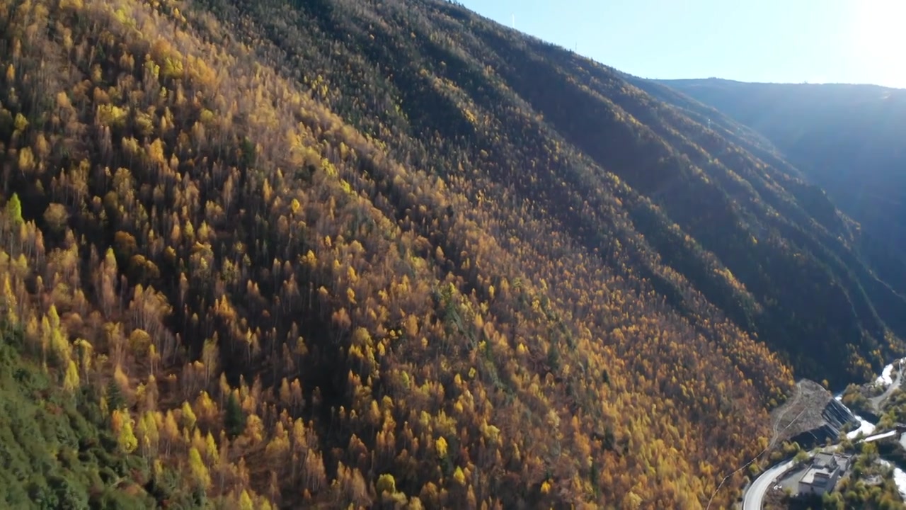 川西秋季风景航拍视频素材