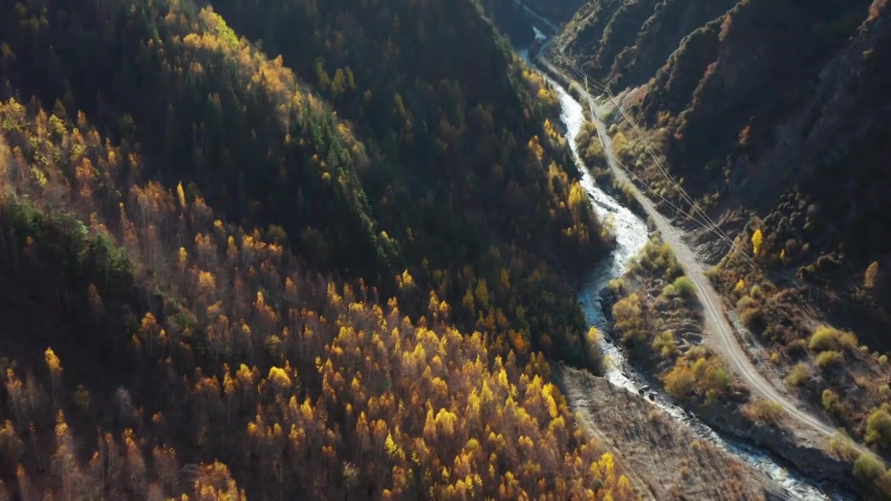 川西秋季风景航拍视频素材