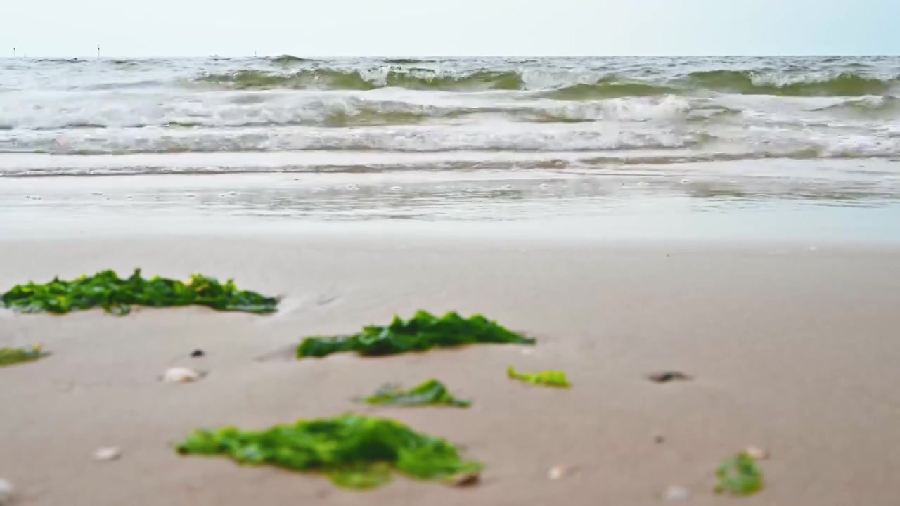 阴天渤海码头海边沙滩与海浪视频素材