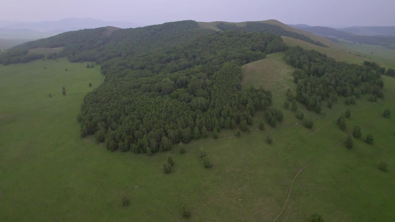 航拍盛夏的乌兰布统草原视频素材