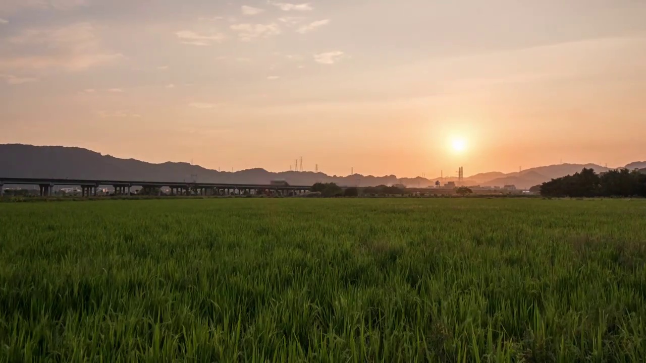 稻田日落晚霞延时视频视频素材