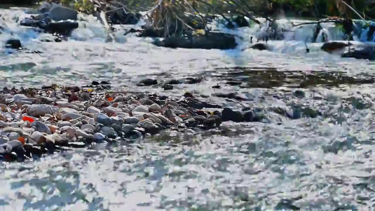 北京延庆秋天的百里画廊白河流水彩色绿植风景空镜视频素材