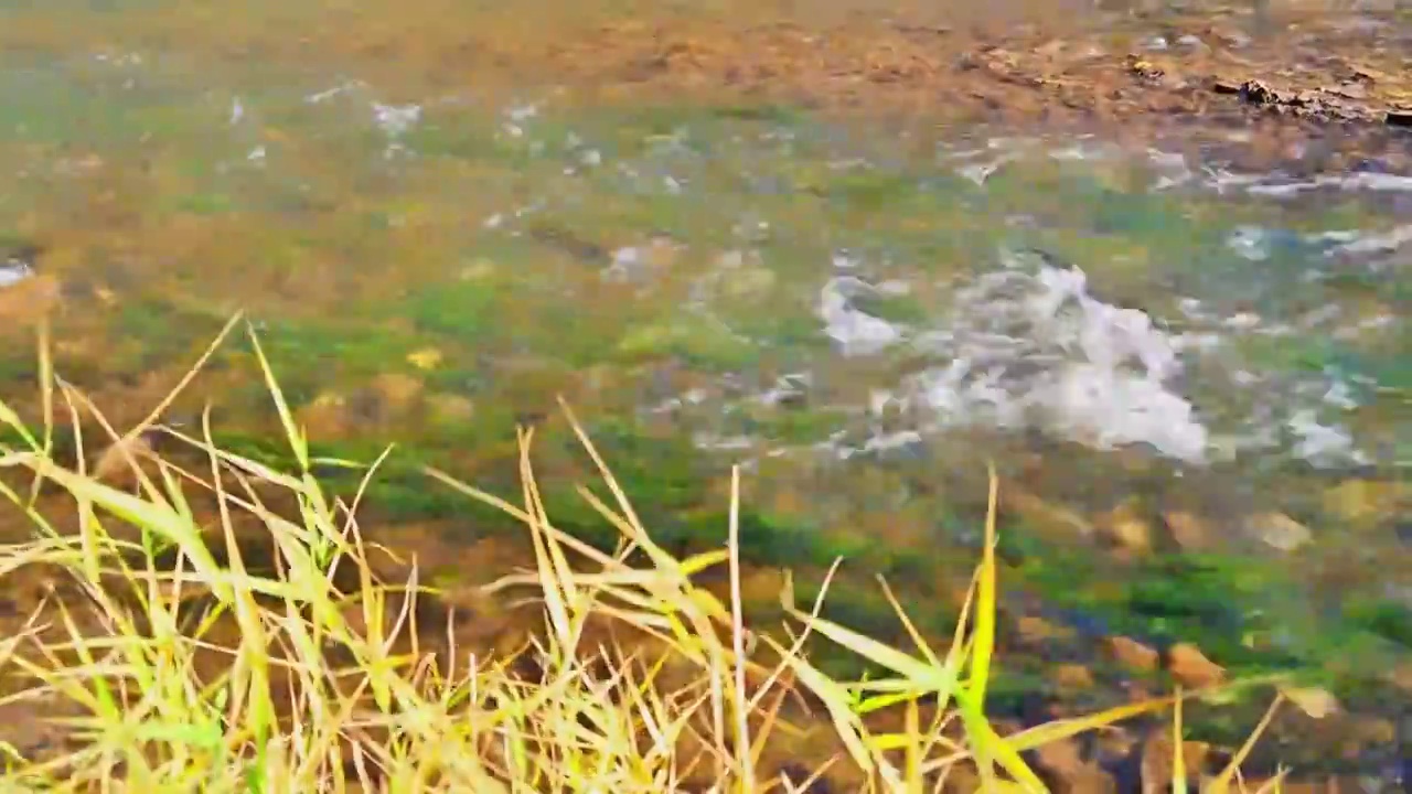 北京延庆秋天的百里画廊白河流水彩色绿植风景空镜视频素材