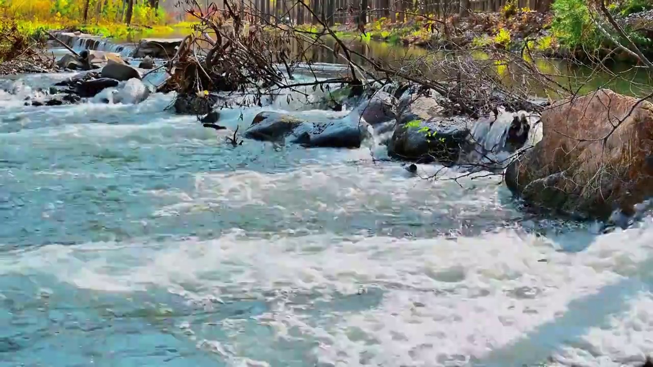 北京延庆秋天的百里画廊白河流水彩色绿植风景空镜视频素材