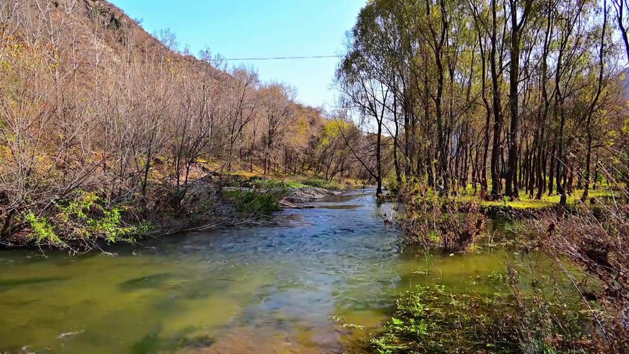 北京延庆秋天的百里画廊白河流水彩色绿植风景空镜视频素材