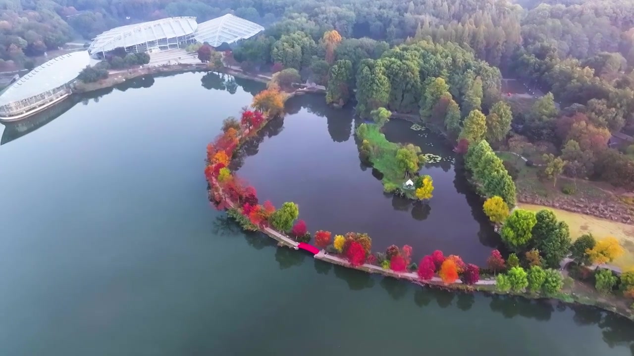 航拍秋季的前湖晨景，江苏南京视频素材