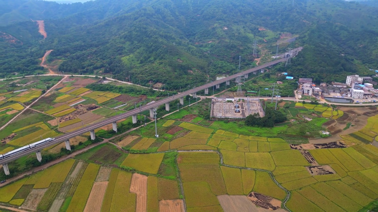 稻田与高铁视频素材