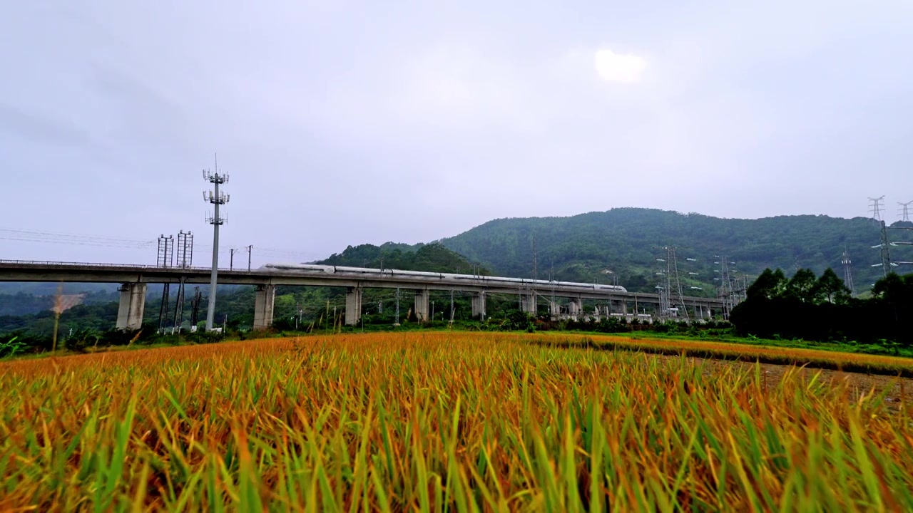 稻田与高铁视频素材