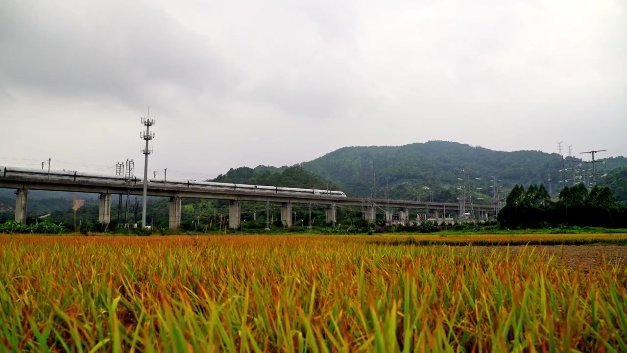 稻田与高铁视频素材