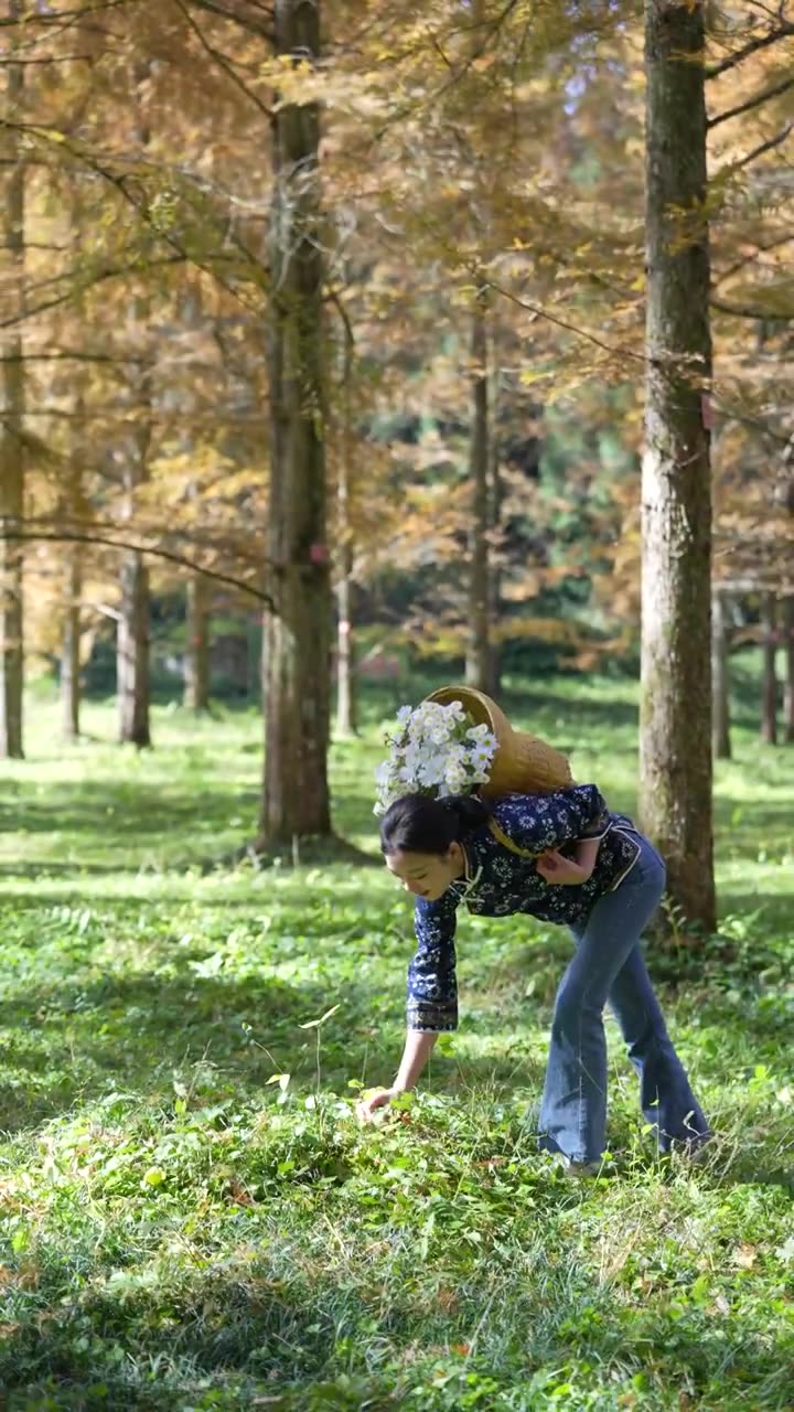 一位美丽的土家姑娘在湖北利川小河水杉植物园里游玩视频素材