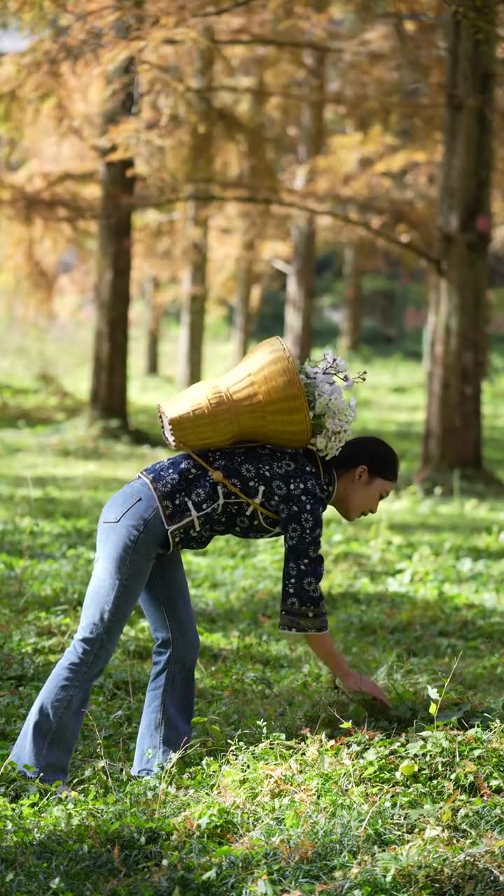 一位美丽的土家姑娘在湖北利川小河水杉植物园里游玩视频素材