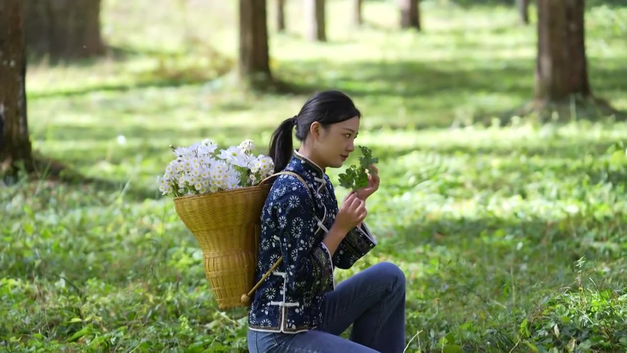 一位美丽的土家姑娘在湖北利川小河水杉植物园里游玩视频素材