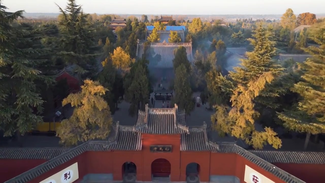 洛阳白马寺秋天银杏视频素材