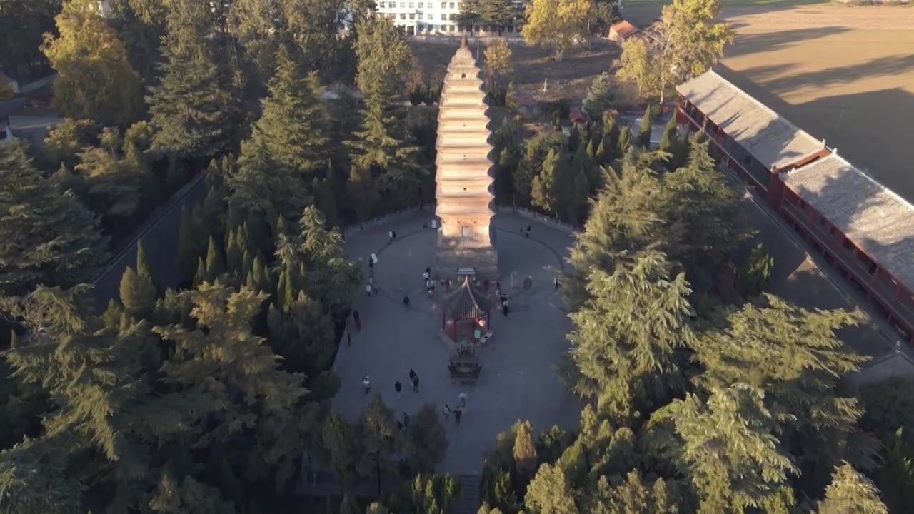 洛阳白马寺秋天银杏视频素材