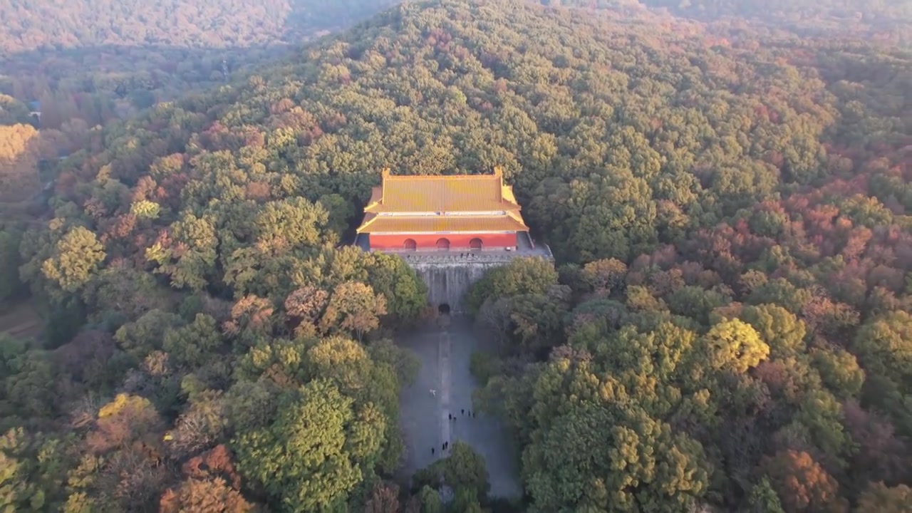 南京明孝陵秋色视频素材