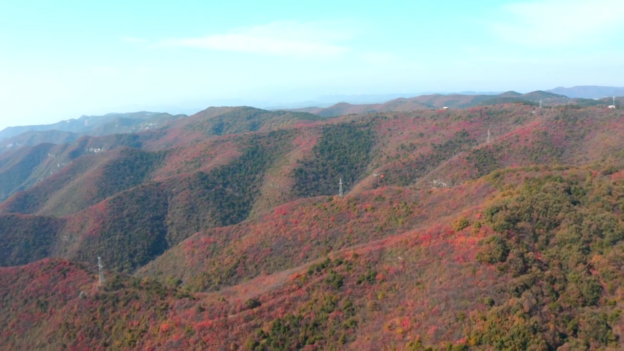 河南省郑州市登封市嵩山少林寺秋季航拍红叶视频素材