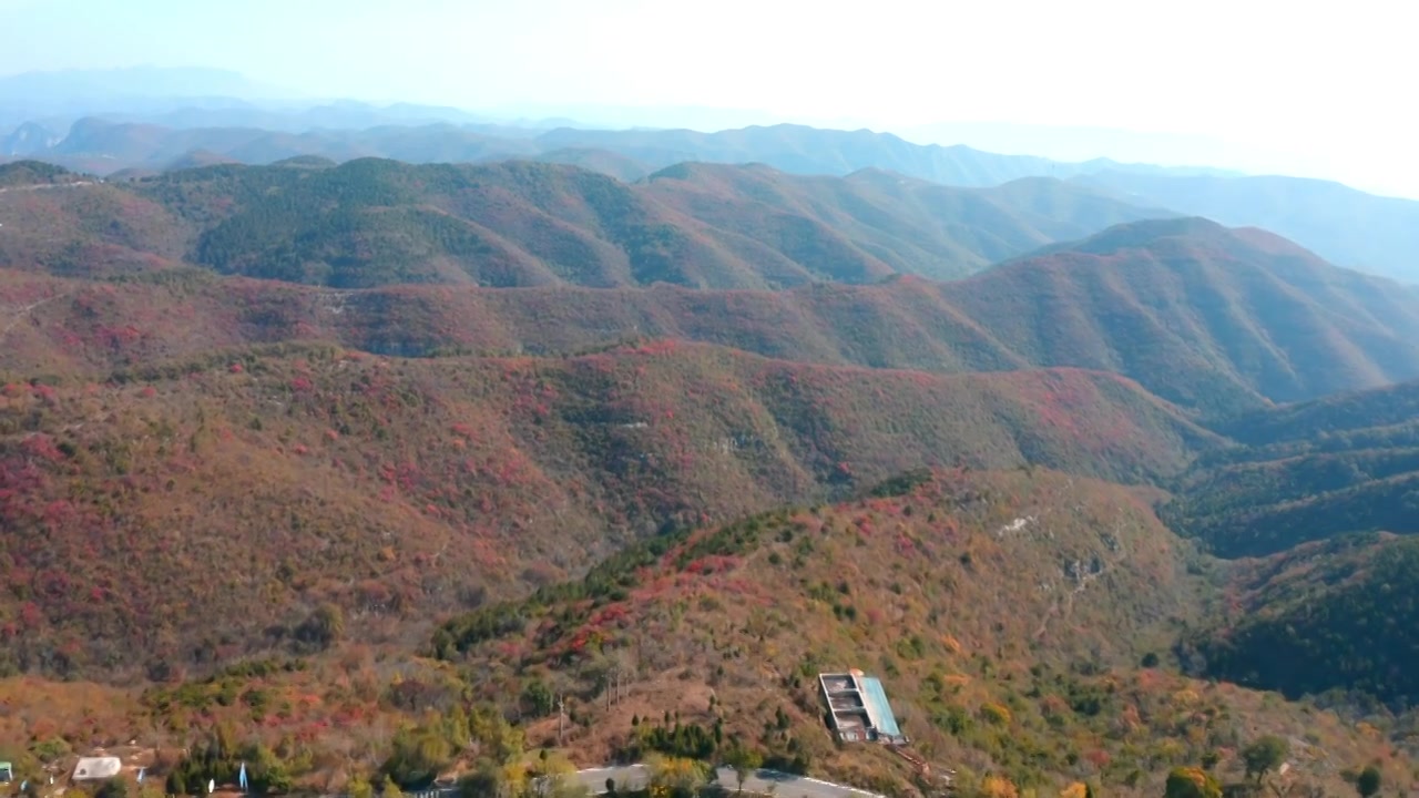 河南省郑州市登封市嵩山少林寺秋季航拍红叶视频素材