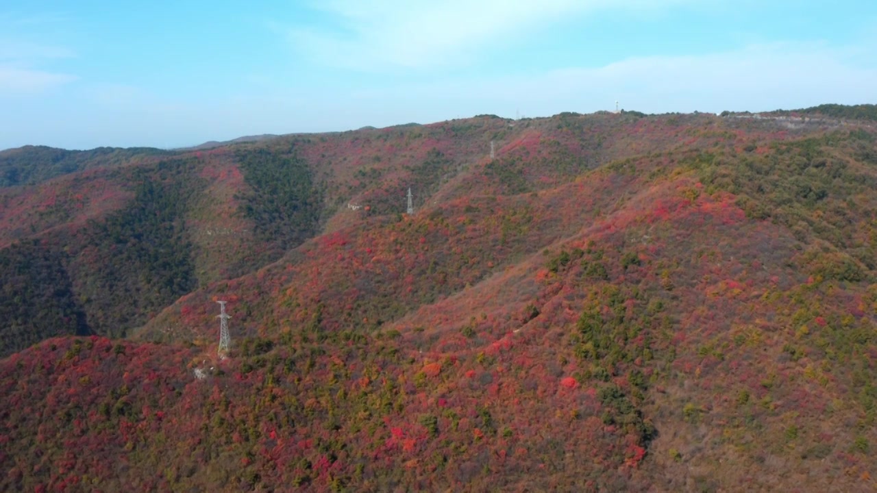 河南省郑州市登封市嵩山少林寺秋季航拍红叶视频素材