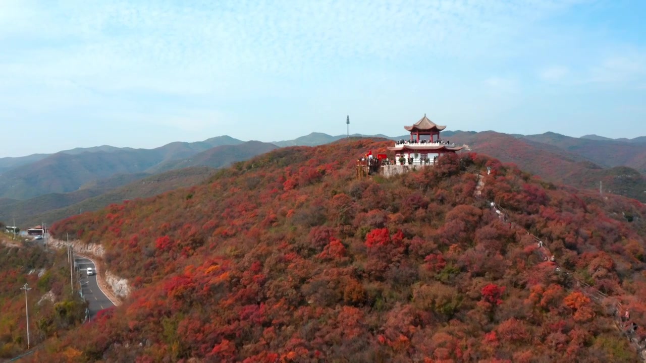 河南省郑州市登封市嵩山少林寺秋季航拍红叶视频素材