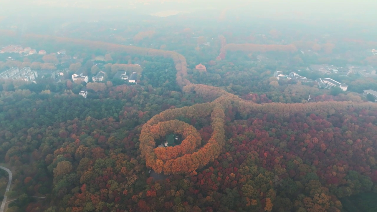 南京美龄宫秋季航拍视频素材