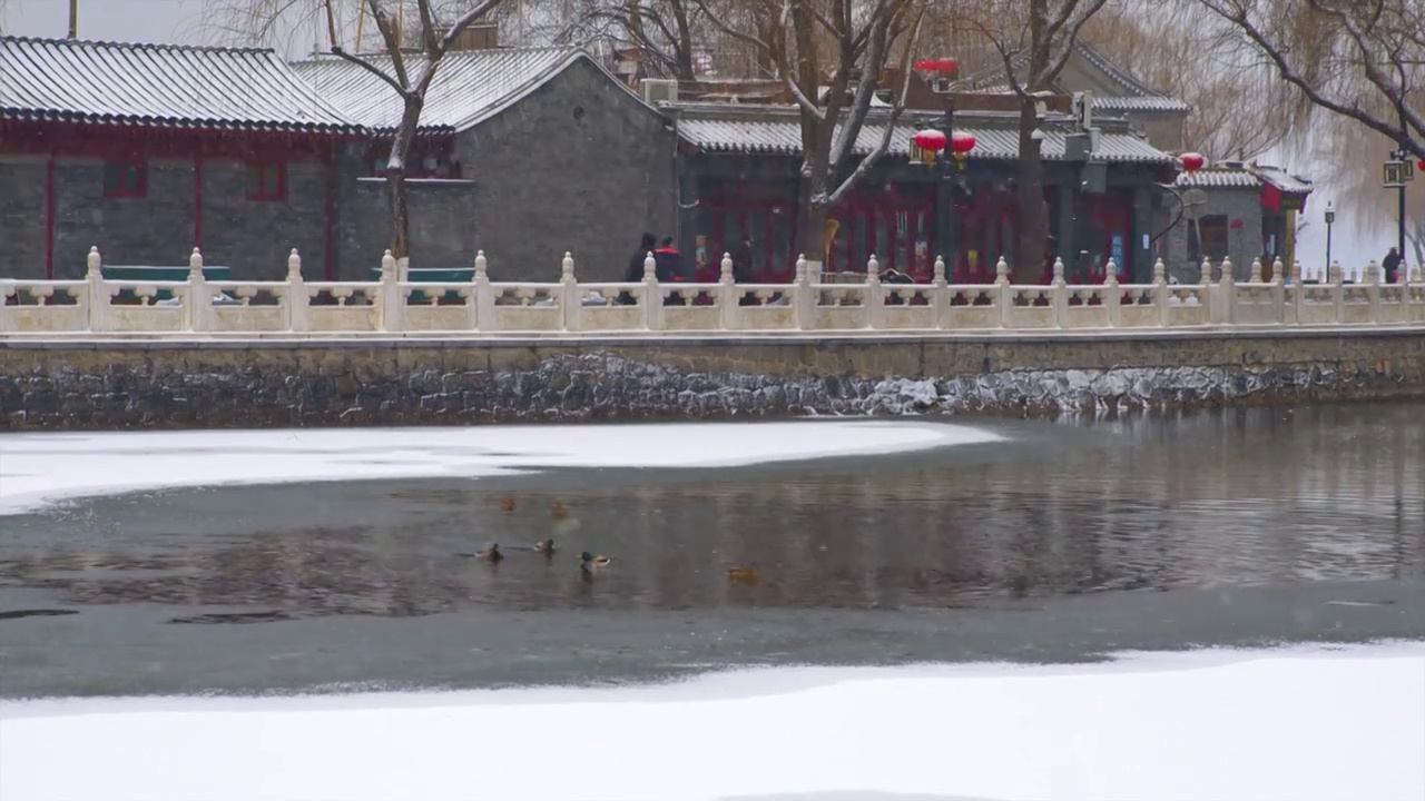 下雪中的北京胡同老城区视频素材