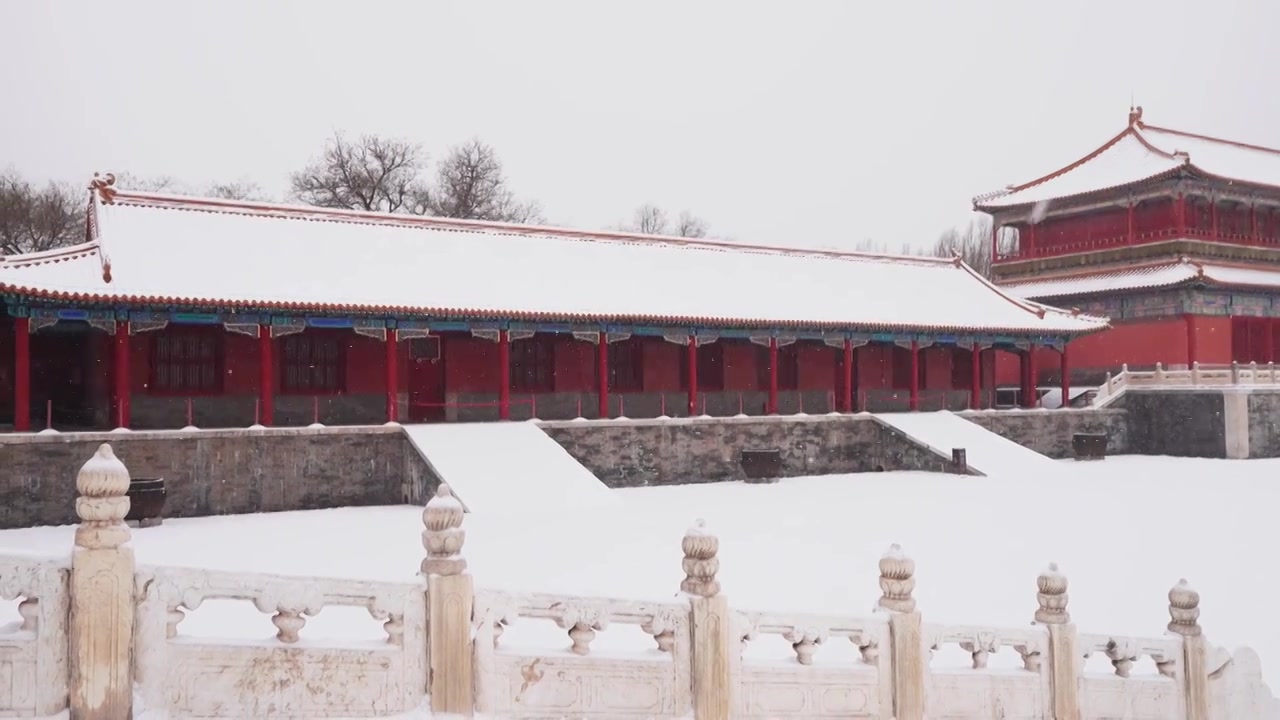 北京故宫博物院雪中美丽风景  雕栏玉砌视频素材